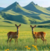 WWW,se388·COM网站APP
