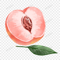 糖果直播APP应用